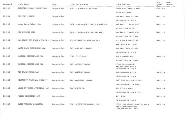 Broussard Occupational Licenses August 2023 Broussard & Youngsville