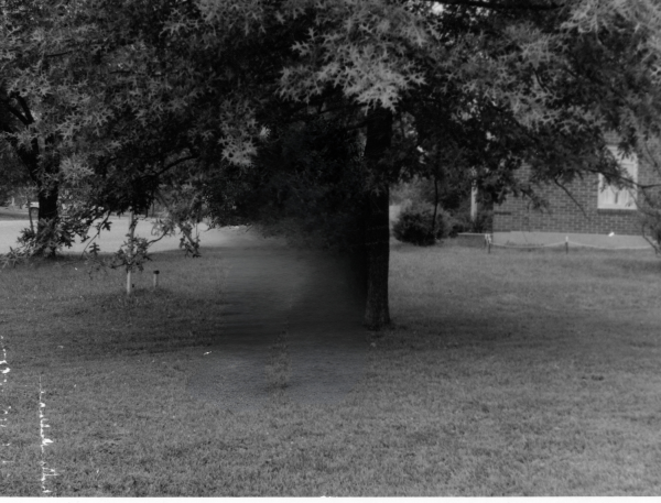 1972 Tree - Fort Knox KY