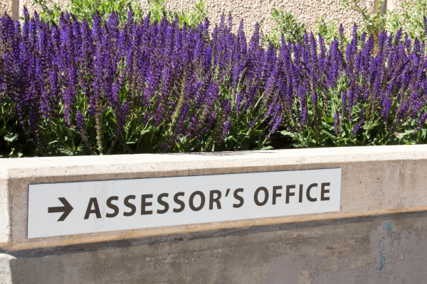 Assessor