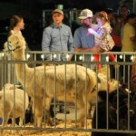 photo: 2024 Christmas Under the Stars