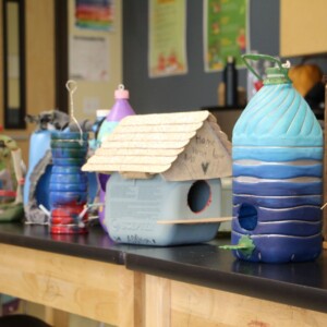 2025 Acadiana Renaissance Charter Academy Birthhouses and Feeders