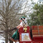 Budweiser Clydesdales In Youngsville, Louisiana