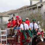 Budweiser Clydesdales In Youngsville, Louisiana