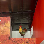 Photo credit: Jamie Creed photo: Ragin’ Chicken Co.