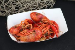 2025 SCCA (Southern Crawfish Cooking Association) SuperBoil World Championship Cajun and Crawfish Cookoff